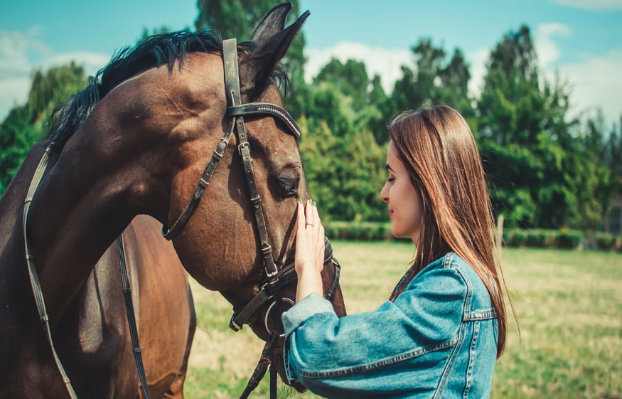 CBD For Horses